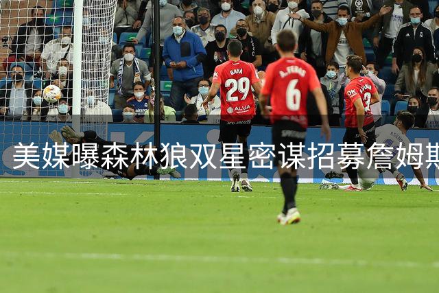美媒曝森林狼双星密谋招募詹姆斯 专家称狼队或成冲冠最佳选择